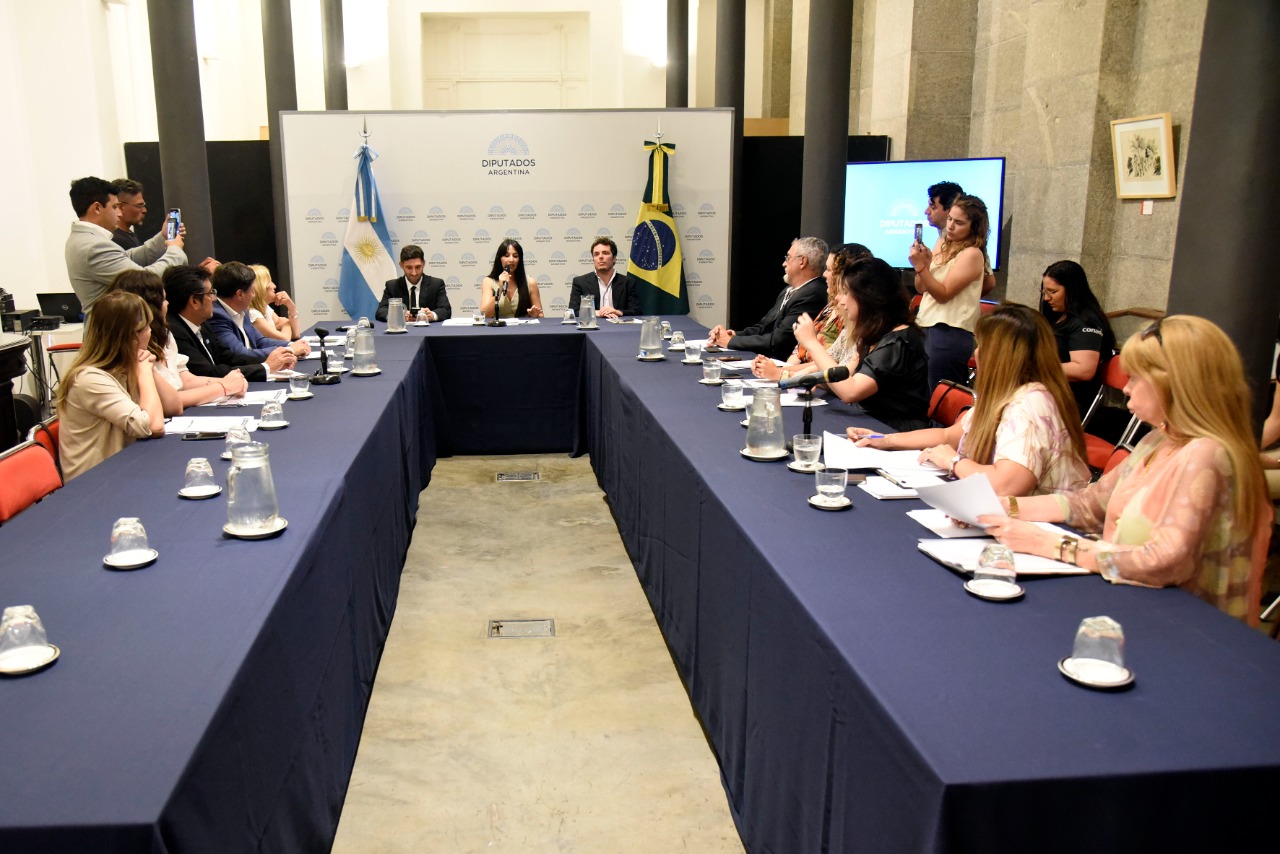 Se conformó el Grupo Parlamentario de Amistad con Brasil para promover el vínculo bilateral y la integración regional